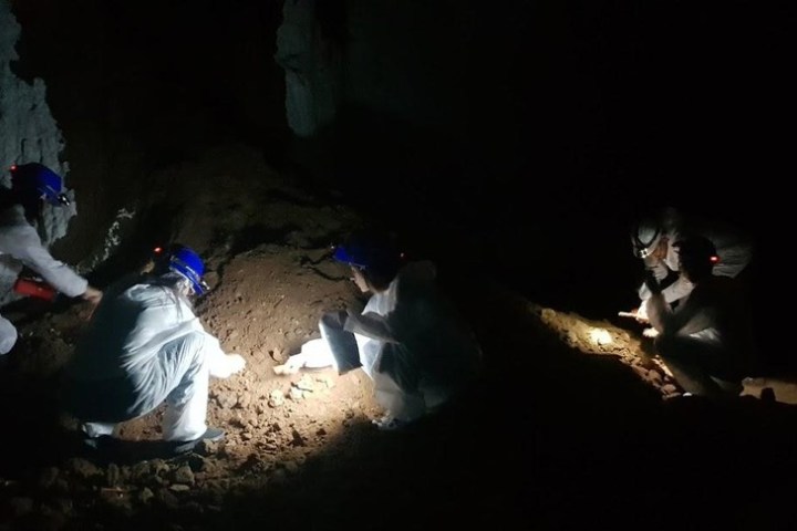 a dog that is lying down in a dark room