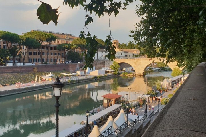 a group of palm trees on the side of a river